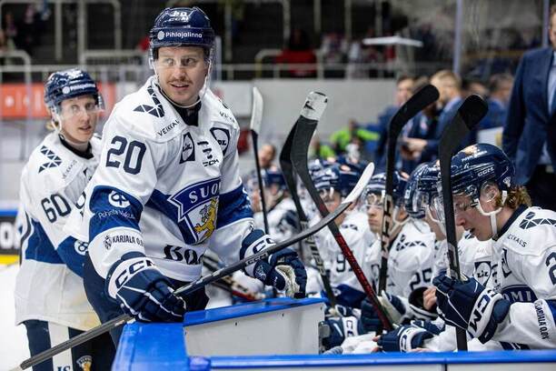 Eeli Tolvanen