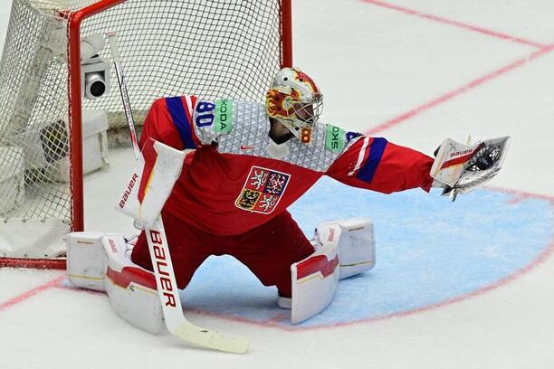 Daniel Vladař
