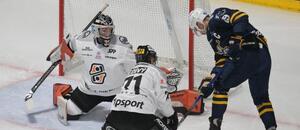 Dominik Riečický je brankárskou jednotkou HC Košice.