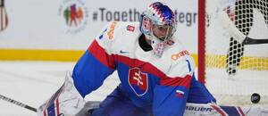 Priestor v bránke proti USA dostal Michal Prádel.