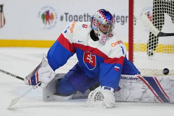 Priestor v&nbsp;bránke proti USA dostal Michal Prádel.