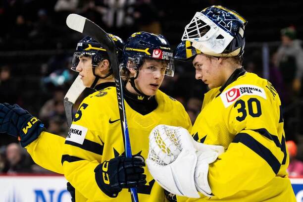 Sprava brankár Švédska Love Härenstam a&nbsp;útočník Ivar Stenberg.