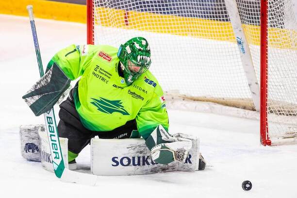 Brankár Vlci Žilina Connor LaCouvée v&nbsp;Tipsport lige 2025/2026.