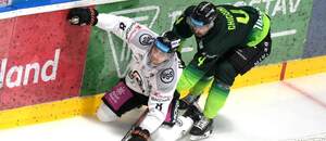 Petráša atakuje Chicoine.