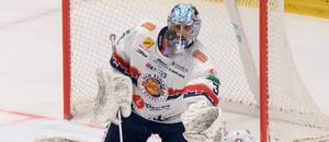 Brankár HKM Zvolen Kevin Mandolese.