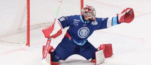 Shika Gadzhiev v drese Nitry