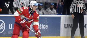 Hokejista Liptovského Mikuláša.