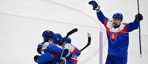 Slovenskí hokejisti.