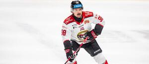 Carter Turnbull rozhodol 3. zápas štvrťfinálovej série.