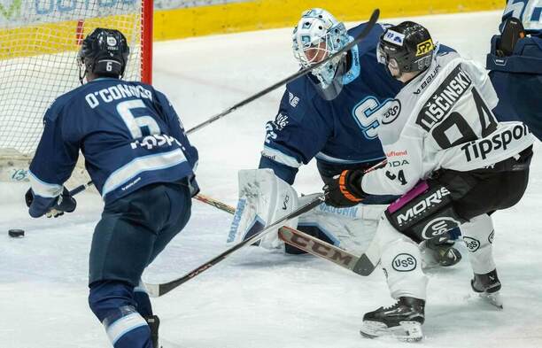 V akcii brankár Jaroslav Janus (HC Slovan Bratislava) a&nbsp;útočník Michal Liščinský (HC Košice).