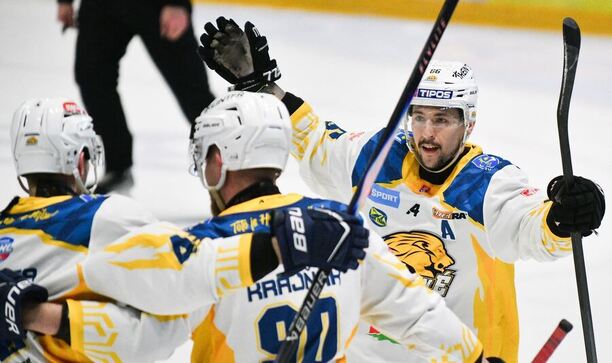 Hokejisti HC 19 Humenné po&nbsp;góle v&nbsp;Skalici.