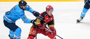 Útočník Slovana Tomáš Marcinko (vľavo) a forward Prešova Patrik Frič počas zápasu HC Prešov vs. HC Slovan Bratislava v 48. kole hokejovej Tipsport ligy 2025/2026
