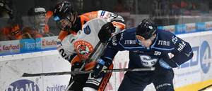 Na snímke sprava Samuel Buček (Slovan) a Denis Tóth (Michalovce) bojujú o puk pri mantineli v zápase 13. kola hokejovej Tipsport ligy HK Dukla Michalovce - HC Slovan Bratislava v Michalovciach v piatok 23. októbra 2026.